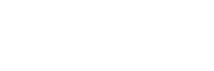 Veebihunt_partner-Ray-Foil